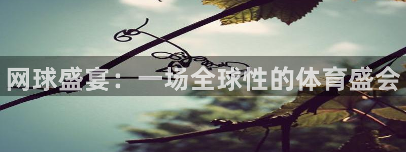 VSport体育官网入口：网球盛宴：一场全球性的体育盛会