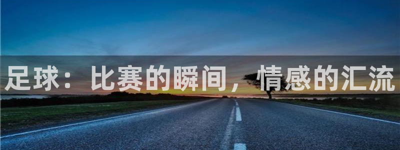  vsports怎么读：足球：比赛的瞬间，情感的汇流