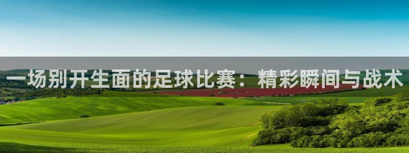  vsports运动餐吧大众点评冠军杯：一场别开生面的足球比赛
