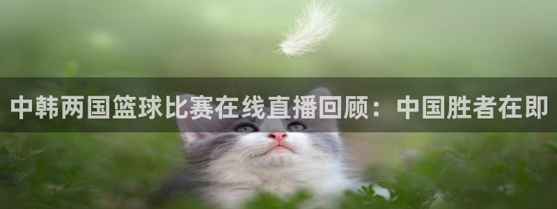 VSport体育官网入口：中韩两国篮球比赛在线直播回顾：中国