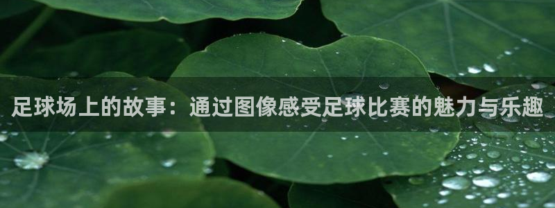 vsports运动餐吧大众点评：足球场上的故事：通过图像感受