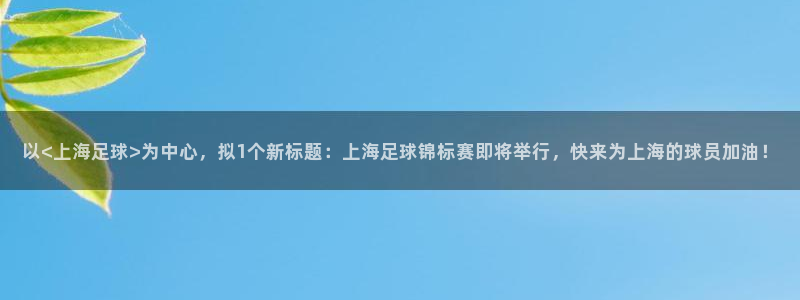 vsport体育官网