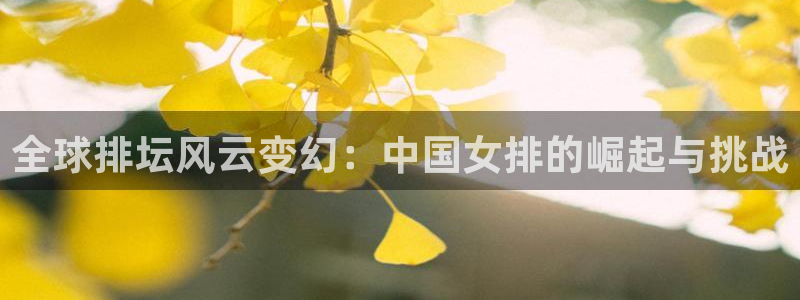  Vsport体育阿根廷官方：全球排坛风云变幻：中国女排的崛起