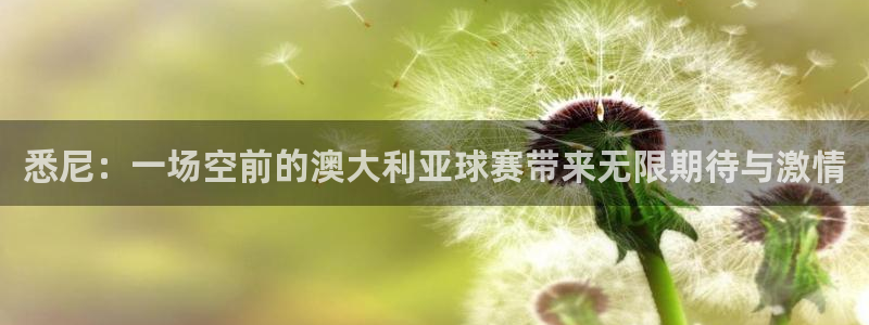 vsport体育在线官网手机版：悉尼：一场空前的澳大利亚球赛