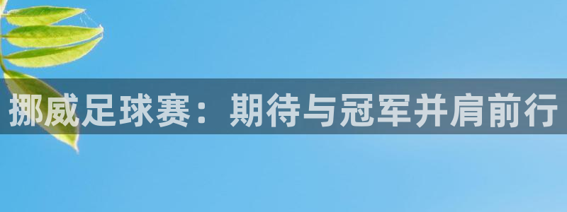  VSports官方入口：挪威足球赛：期待与冠军并肩前行