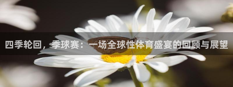  VSports官方入口：四季轮回，季球赛：一场全球性体育盛宴