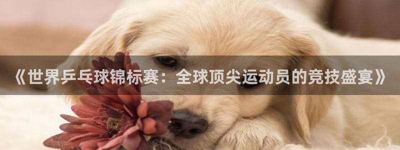 vsport体育平台app：《世界乒乓球锦标赛：全球顶尖运动