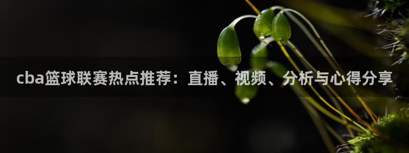  vsport体育app官网下载安卓：cba篮球联赛热点推荐：