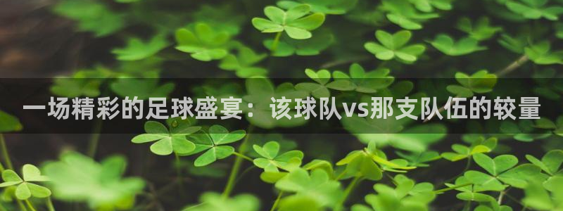  VSports官方网站：一场精彩的足球盛宴：该球队vs那支队
