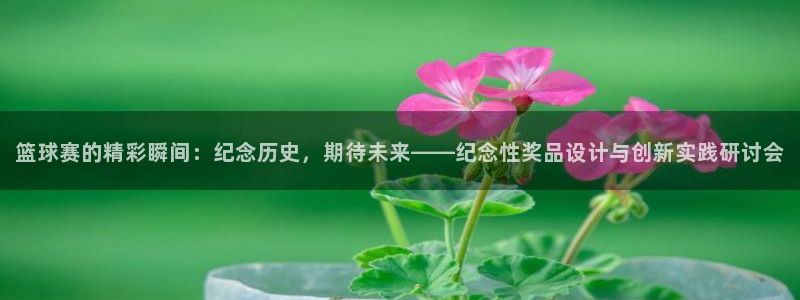 VSports官方网站：篮球赛的精彩瞬间：纪念历史，期待未来