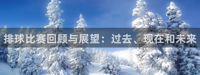 vsports胜利怎么样：排球比赛回顾与展望：过去、现在和未